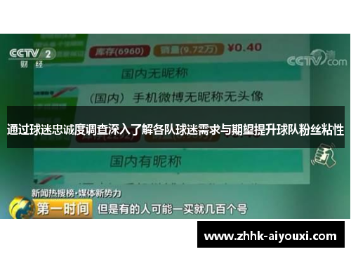 通过球迷忠诚度调查深入了解各队球迷需求与期望提升球队粉丝粘性